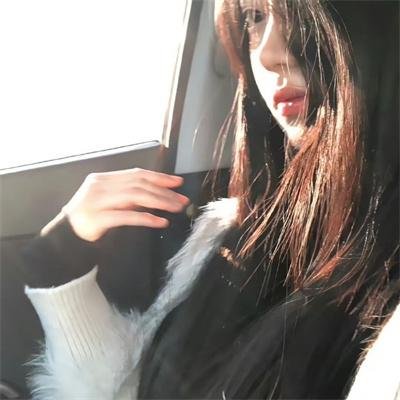 极地漫步